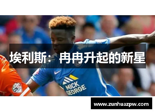 埃利斯：冉冉升起的新星